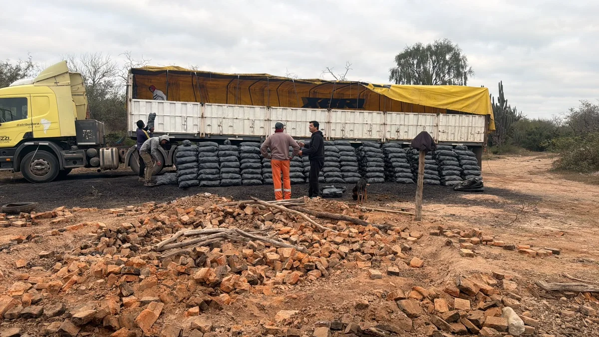 Bolsas de carbon vegetal cargadas y listas para reparto